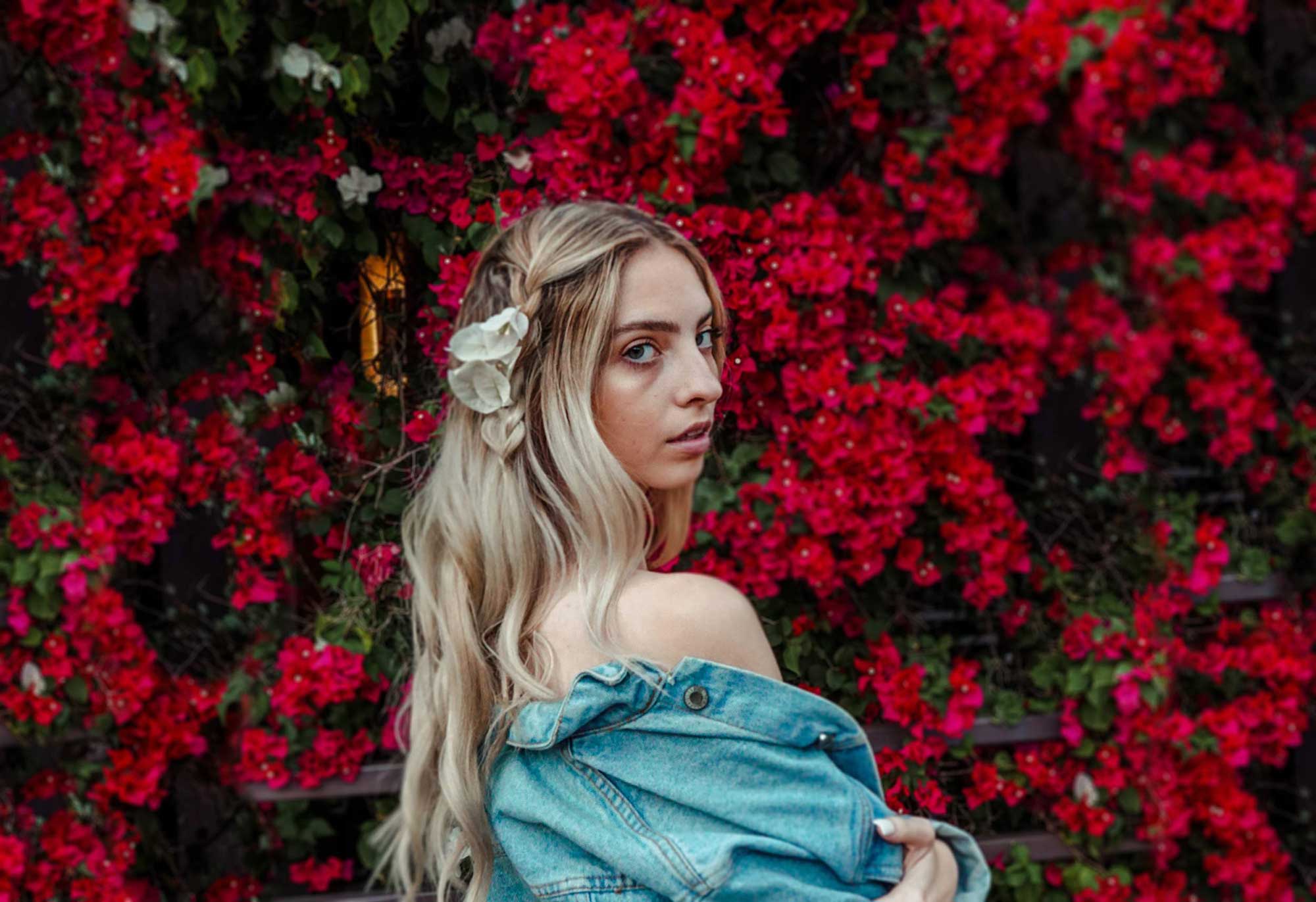 Bougainvillea bougainvillea